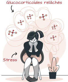 stressed-women-released-glucocorticoids