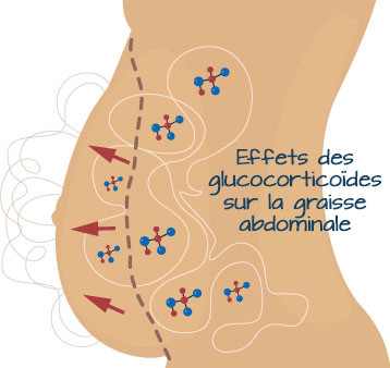 glucocorticoids-pushing-belly-outwards